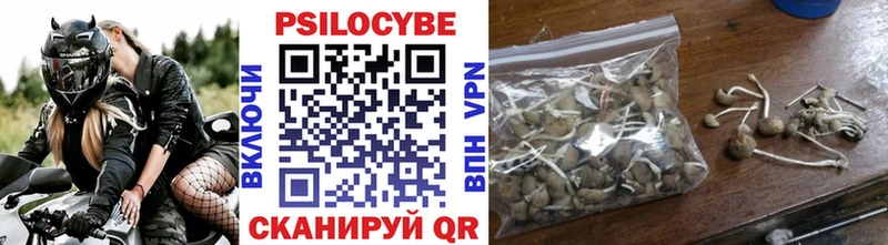 Галлюциногенные грибы мицелий Серафимович